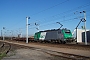 Alstom FRET 084 - SNCF "427084"
09.04.2011 - Dunkerque / Grande-Synthe
Nicolas Beyaert