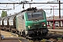 Alstom FRET 084 - SNCF "427084"
08.05.2016 - Les Aubrais Orléans (Loiret)
Thierry Mazoyer