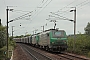 Alstom FRET 085 - SNCF "427085"
03.07.2013 - Dunkerque / Grande-Synthe
Nicolas Beyaert