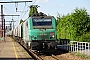 Alstom FRET 085 - SNCF "427085"
09.09.2015 - Les Aubrais-Orléans (Loiret)
Thierry Mazoyer