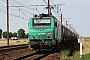 Alstom FRET 092 - SNCF "427092"
15.08.2013 - Toury ( Eure et Loir )
Thierry Haudebourg
