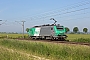 Alstom FRET 097 - SNCF "427097"
08.06.2013 - Rambucourt
Jean-Claude Mons