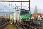Alstom ? - SNCF "427098"
28.12.2013 - Les Aubrais-Orléans (Loiret)
Thierry Mazoyer