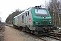 Alstom FRET 101 - SNCF "427101"
12.01.2005 - Survilliers
Rudy Micaux