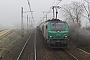Alstom FRET 101 - SNCF "427101"
19.02.2013 - Tournus
Sylvain  Assez
