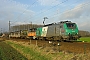 Alstom ? - SNCF "427106"
12.01.2005 - Somain
Laurent Charlier