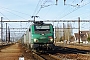 Alstom ? - SNCF "427106"
23.02.2014 - Les Aubrais-Orléans (Loiret)Thierry Mazoyer