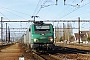 Alstom ? - SNCF "427106"
23.02.2014 - Les Aubrais-Orléans (Loiret)
Thierry Mazoyer