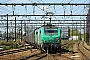 Alstom FRET 109 - SNCF "427109"
01.05.2016 - Les Aubrais Orléans (Loiret)
Thierry Mazoyer