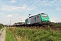 Alstom FRET 110 - SNCF "427110"
02.09.2010 - Socx
Nicolas Beyaert