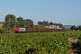 Alstom FRET 118 - VFLI "27118"
23.06.2010 - Carcassonne
Vincent Francesconi