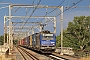 Alstom FRET 119 - AKIEM "27119M"
23.07.2020 - Beaucaire
Alexander Leroy