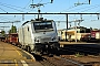 Alstom FRET 123 - AKIEM "27123M"
30.09.2015 - Les Aubrais-Orléans (Loiret)
Thierry Mazoyer