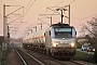 Alstom FRET 123 - CFL Cargo "27123M"
22.03.2019 - Ruffey les Echirey
Stéphane Storno
