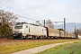 Alstom FRET 129 - RégioRail "27129M"
23.12.2015 - Culoz
André Grouillet