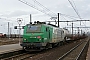 Alstom FRET 134 - SNCF "427134M"
16.12.2012 - Les Aubrais Orléans (Loiret)
Thierry Mazoyer