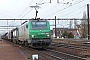 Alstom FRET 134 - SNCF "427134M"
27.01.2013 - Les Aubrais Orléans (Loiret)
Thierry Mazoyer