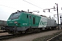 Alstom FRET 137 - SNCF "427137"
10.04.2008 - Vaires
Rudy Micaux