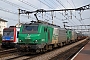 Alstom FRET 138 - SNCF "427138"
05.04.2009 - Saint Michel sur Orge
André Grouillet