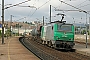 Alstom FRET 140 - SNCF "427140"
03.11.2006 - Epernay
Jean-Claude Mons