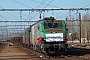 Alstom FRET 142 - SNCF "427142M"
17.02.2013 - Les Aubrais Orléans (Loiret)
Thierry Mazoyer