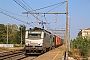 Alstom FRET 147 - Naviland "27147M"
27.07.2020 - Beaucaire
Alexander Leroy