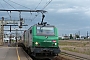 Alstom FRET 149 - SNCF "427149M"
19.05.2012 - Les Aubrais Orléans (Loiret)
Thierry Mazoyer