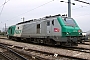 Alstom ? - SNCF "427151"
08.04.2008 - Vaires
Rudy Micaux