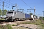 Alstom FRET 161 - AKIEM "27161"
16.05.2012 - Saint Jory  (Haute Garonne)
Gérard Meilley