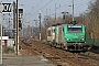 Alstom FRET 162 - SNCF "427162"
18.02.2008 - Orry la Ville
Jean-Claude Mons
