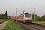 Alstom FRET 164 - SNCF "427164"
17.05.2017 - Hochfelden
Alexander Leroy