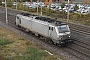 Alstom FRET 166 - Akiem "27166"
18.10.2021 - Uckange
Peider Trippi