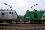 Alstom FRET 175 - SNCF "427175M"
02.03.2012 - Les Aubrais Orléans (Loiret)
Thierry Mazoyer