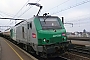 Alstom FRET 176 - SNCF "427176M"
02.03.2012 - Les Aubrais Orléans (Loiret)
Thierry Mazoyer
