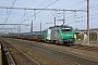 Alstom FRET 176 - SNCF "427176M"
22.02.2012 - Cercottes (north of Orléans - Loiret)
Thierry Mazoyer
