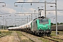 Alstom FRET T 003 - SNCF "437003"
25.06.2009 - Perrigny
Sylvain  Assez
