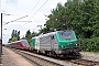 Alstom DDF FRET T 003 - SNCF "437003"
15.06.2011 - Beuvrages
Nicolas Beyaert