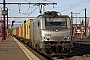 Alstom FRET T 005 - AKIEM "37005"
27.01.2024 - Les Aubrais Orleans
Thierry Mazoyer