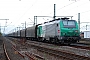 Alstom FRET T 008 - SNCF "437008"
22.10.2010 - Goddelau
Harald Belz