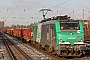 Alstom FRET T 008 - SNCF "437008"
06.02.2013 - Düsseldorf-Rath
Niklas Eimers