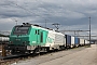 Alstom FRET T 009 - AKIEM "37009"
04.09.2025 - Basel Rangierbahnhof
Theo Stolz