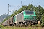 Alstom FRET T 010 - AKIEM "437010"
12.06.2015 - Bad Honnef
Daniel Kempf