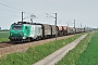 Alstom FRET T 011 - SNCF "437011"
02.06.2012 - Ruesnes
Mattias Catry