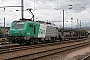 Alstom FRET T 012 - SNCF "437012"
03.09.2009 - Belfort
Sylvain  Assez