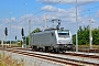 Alstom FRET T 012 - AKIEM "37012"
11.07.2019 - Horka
Torsten Frahn
