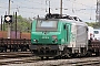 Alstom FRET T 014 - AKIEM "437014"
25.04.2018 - Thionville
Alexander Leroy