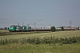 Alstom FRET T 016 - SNCF "437016"
20.06.2012 - Bierne
Nicolas Beyaert