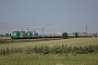 Alstom FRET T 016 - SNCF "437016"
20.06.2012 - Bierne
Nicolas Beyaert