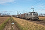 Alstom FRET T 016 - Rhenus Rail "37016"
09.02.2019 - BornheimAlex Henke