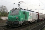 Alstom FRET T 017 - SNCF "437017"
09.11.2006 - Bonn-Beuel
Wolfgang Mauser